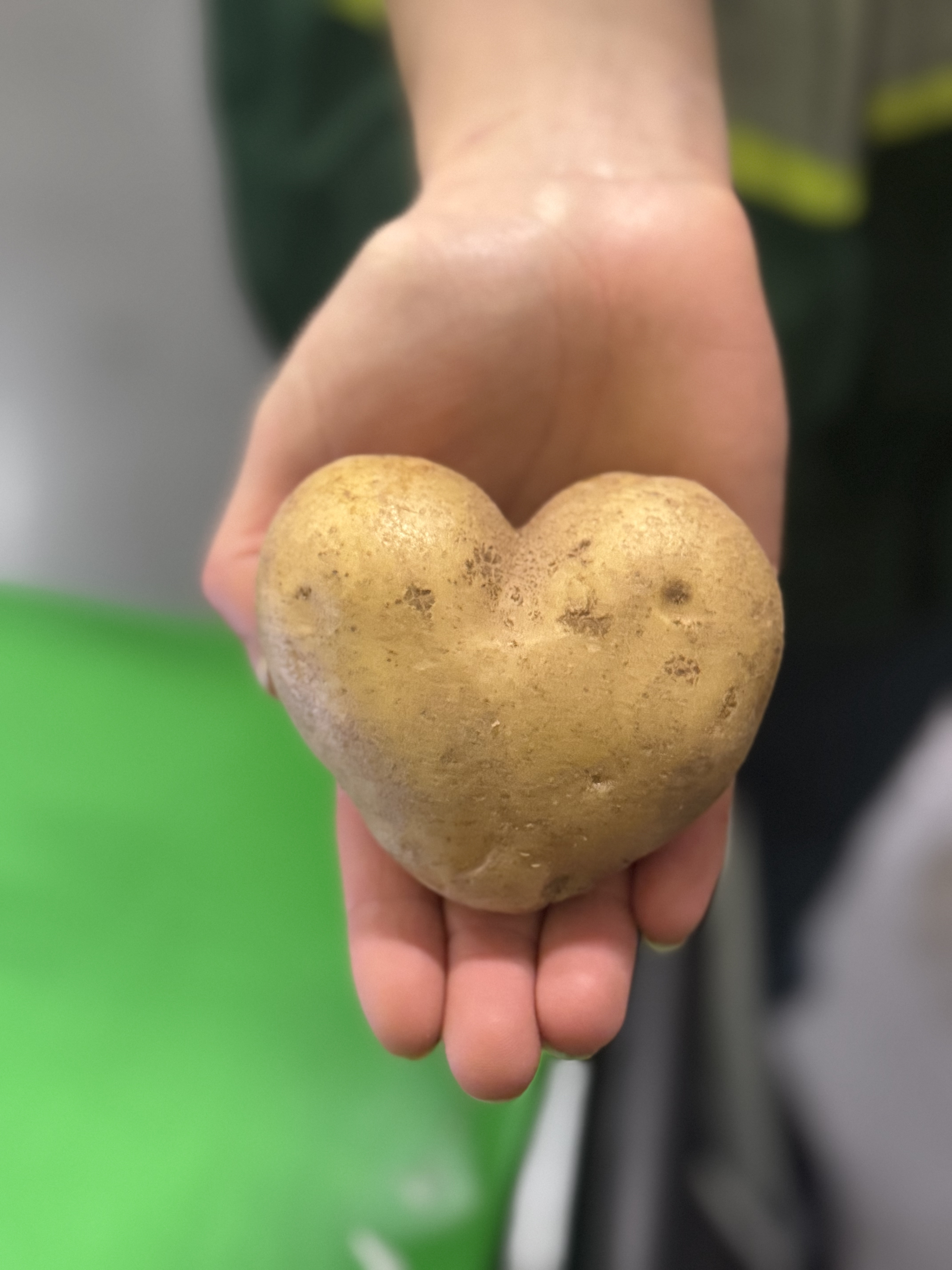 Fresh Idaho potatoes